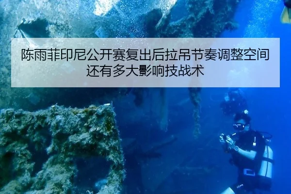 陈雨菲印尼公开赛复出后拉吊节奏调整空间还有多大影响技战术